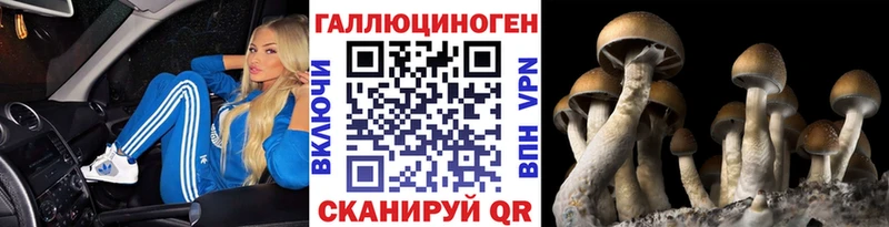 Псилоцибиновые грибы Magic Shrooms  kraken как войти  Заозёрный 